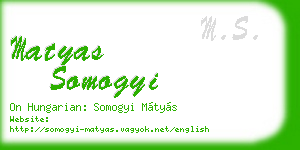 matyas somogyi business card